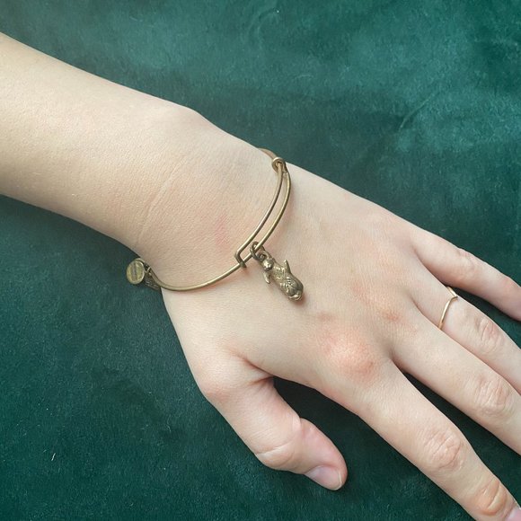 Alex and Ani "Side by Side" Otter Bracelet | Gold - Picture 1 of 7